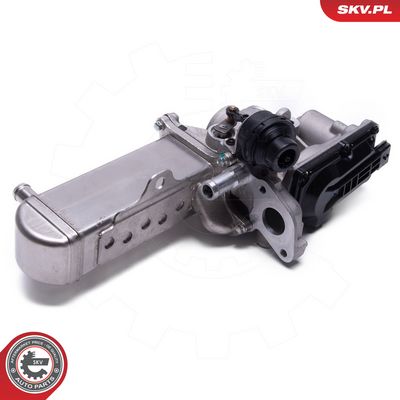 AGR-Ventil ESEN SKV 14SKV241