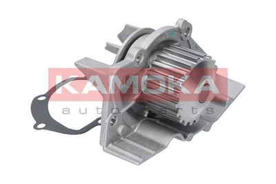 Water Pump, engine cooling T0082