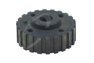 ROATA DINTATA ARBORE COTIT