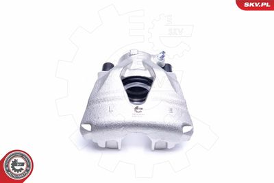 Brake Caliper 44SKV641