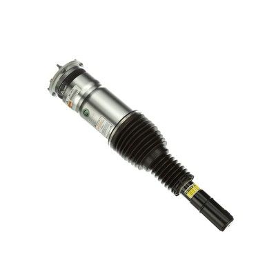 BRAT ARC PNEUMATIC Arnott AS3070 55