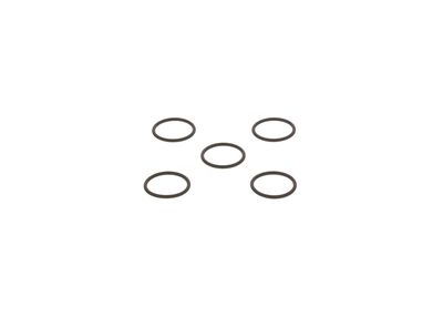 CR injectorhuis oring