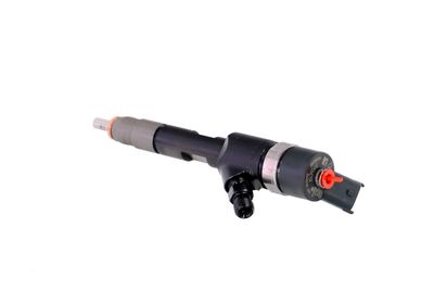 INJECTOR REMANTE 002003001168R 18