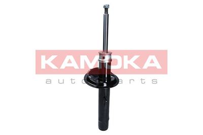 Shock Absorber 2001052