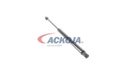 AMORTIZOR PORTBAGAJ ACKOJA A320076 46