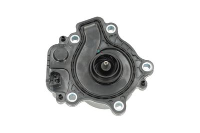 Kavo Parts Vandens siurblys, variklio aušinimas
