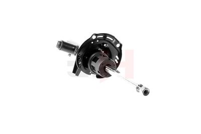 AMORTIZOR GH GH359967 23