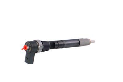 INJECTOR REMANTE 002003001146R 35