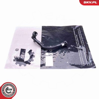 FURTUN EAR SUPRAALIMENTARE