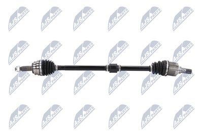 PLANETARA NTY NPWCH062 6