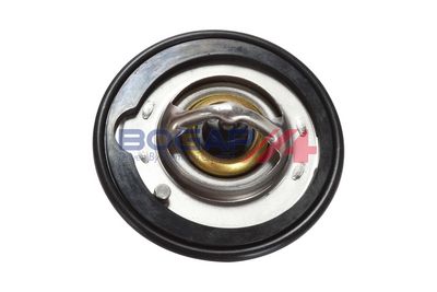 TERMOSTAT LICHID RACIRE BOGAP N4245106 2