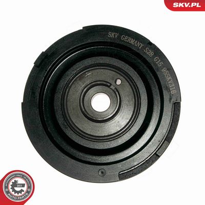 FULIE CUREA ARBORE COTIT