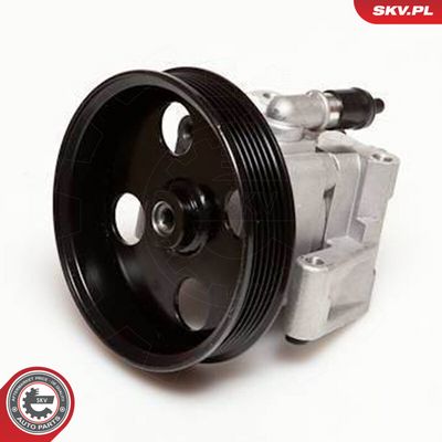 Hydraulpump, styrsystem ESEN SKV 10SKV050