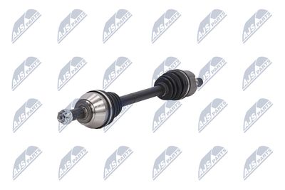 PLANETARA NTY NPWBM125 19