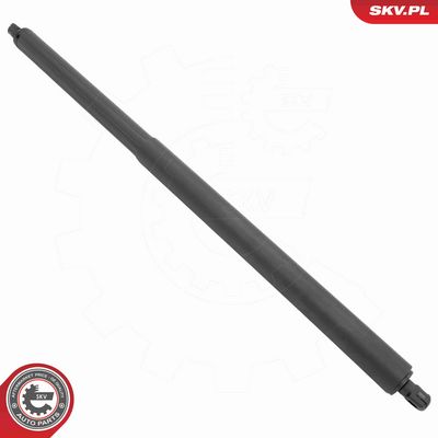 AMORTIZOR PORTBAGAJ ESEN SKV 52SKV856 1