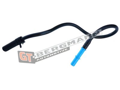 GT-BERGMANN Automotive Degalų žarna