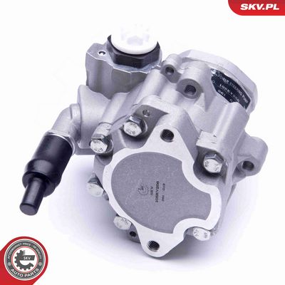 POMPA HIDRAULICA SISTEM DE DIRECTIE ESEN SKV 10SKV256 5