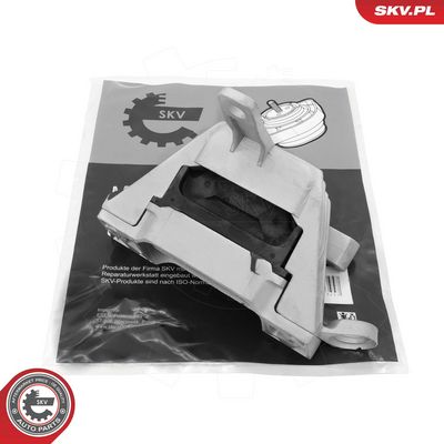 variklio montavimas 75SKV423 ESEN SKV
