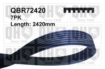 Поликлиновой ремень QUINTON HAZELL QBR72420 для MERCEDES-BENZ C-CLASS