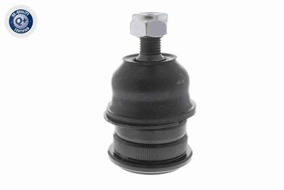 CAP DE BARA ACKOJA A321160 7