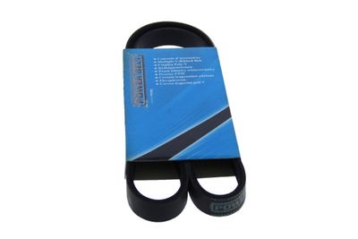 CUREA TRANSMISIE CU CANELURI MAPCO 250990