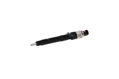 INJECTOR REMANTE 002003002091R 63