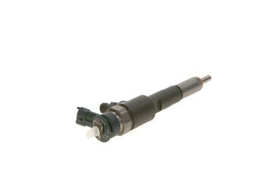 INJECTOR BOSCH 0445110135 13