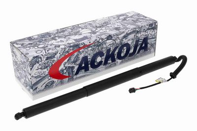 MOTOR ELECTRIC HAION ACKOJA A52550009 1