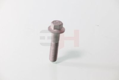 SURUB CAPAT DE AX GH GH392549 21