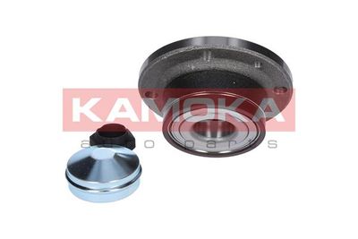 Wheel Bearing Kit 5500031