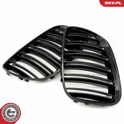 GRILA RADIATOR ESEN SKV 66SKV281 3