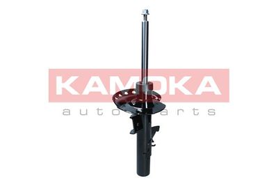 Shock Absorber 2000571