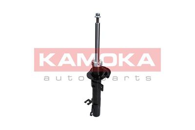 Shock Absorber 2000253