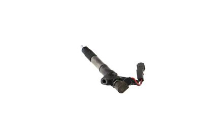 INJECTOR REMANTE 002003001324R 20