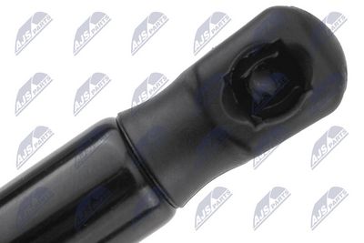 AMORTIZOR CAPOTA NTY AEPS010 2