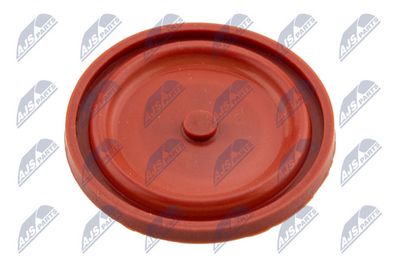 CAPAC CULBUTOR NTY BPZCT005 1