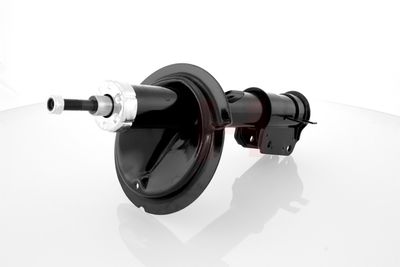 AMORTIZOR GH GH322355 11