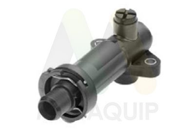 TERMOSTAT LICHID RACIRE