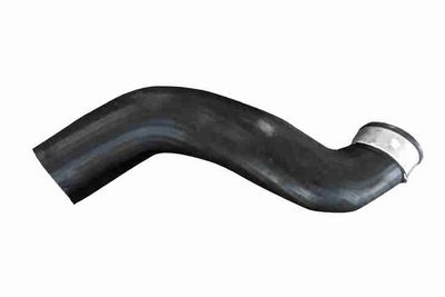 FURTUN EAR SUPRAALIMENTARE