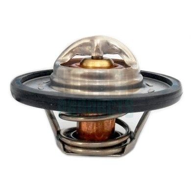 TERMOSTAT LICHID RACIRE