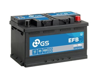 EFB100 GS Стартерная аккумуляторная батарея
