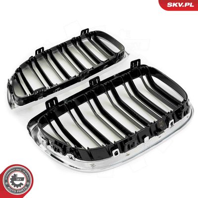 GRILA RADIATOR ESEN SKV 66SKV110 3