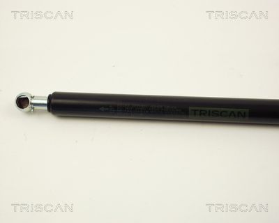 AMORTIZOR PORTBAGAJ TRISCAN 871012205 1