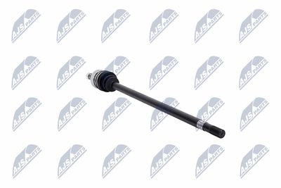 PLANETARA NTY NPWCH021 31