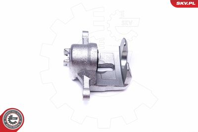 Brake Caliper 42SKV474