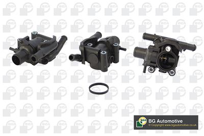 TERMOSTAT LICHID RACIRE