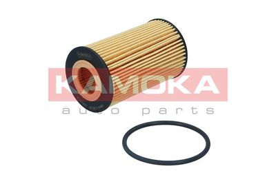 Oil Filter F125201