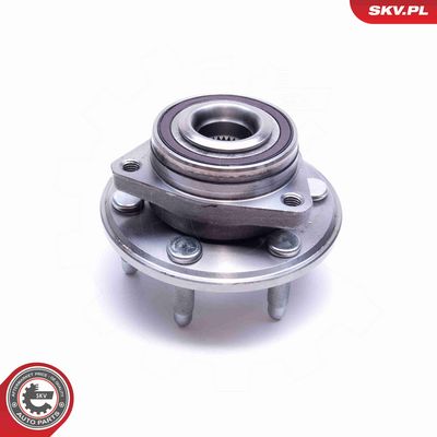 SET RULMENT ROATA ESEN SKV 29SKV352 1