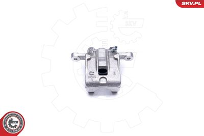 Brake Caliper 42SKV464