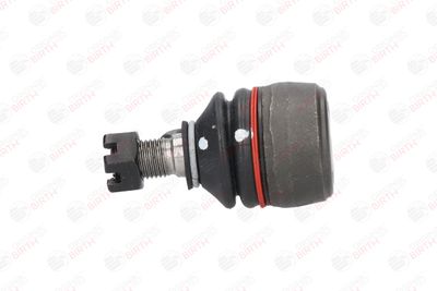 CAP DE BARA BIRTH TD3620 4